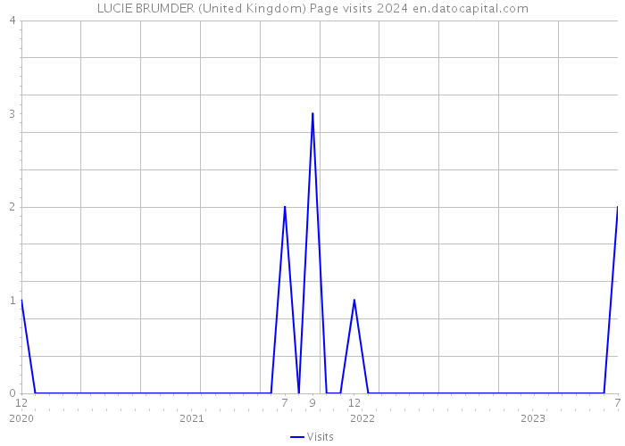 LUCIE BRUMDER (United Kingdom) Page visits 2024 