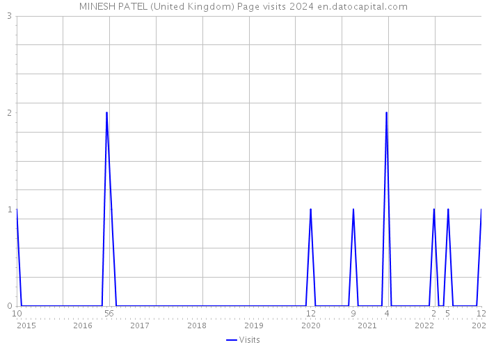 MINESH PATEL (United Kingdom) Page visits 2024 