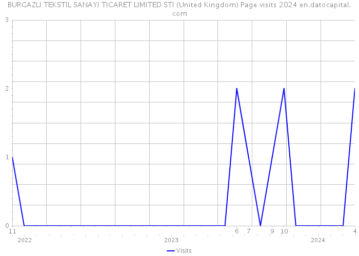 BURGAZLI TEKSTIL SANAYI TICARET LIMITED STI (United Kingdom) Page visits 2024 