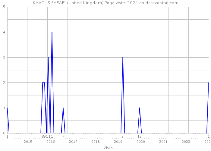 KAVOUS SAFAEI (United Kingdom) Page visits 2024 