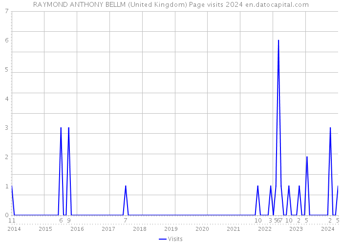 RAYMOND ANTHONY BELLM (United Kingdom) Page visits 2024 