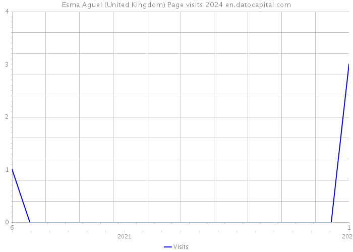 Esma Aguel (United Kingdom) Page visits 2024 