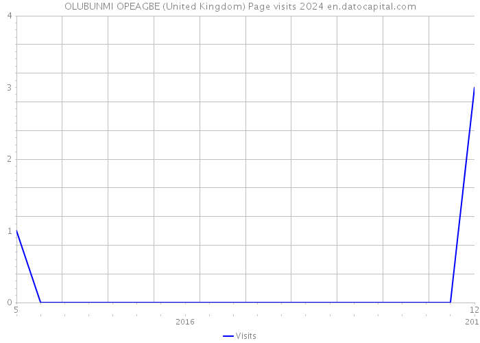 OLUBUNMI OPEAGBE (United Kingdom) Page visits 2024 