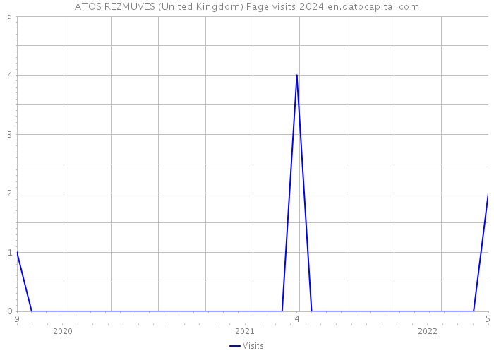 ATOS REZMUVES (United Kingdom) Page visits 2024 