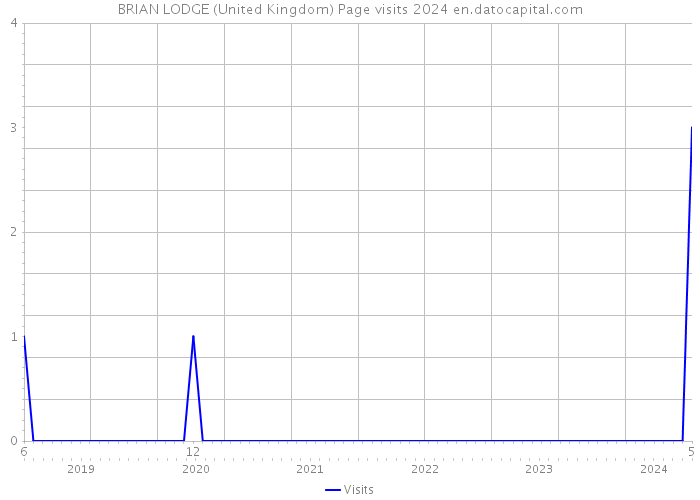 BRIAN LODGE (United Kingdom) Page visits 2024 