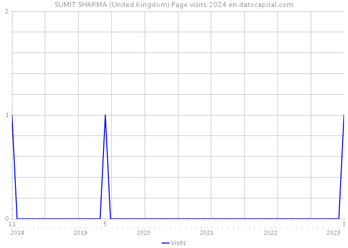 SUMIT SHARMA (United Kingdom) Page visits 2024 