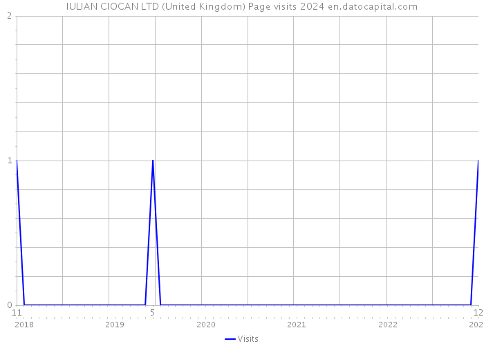 IULIAN CIOCAN LTD (United Kingdom) Page visits 2024 