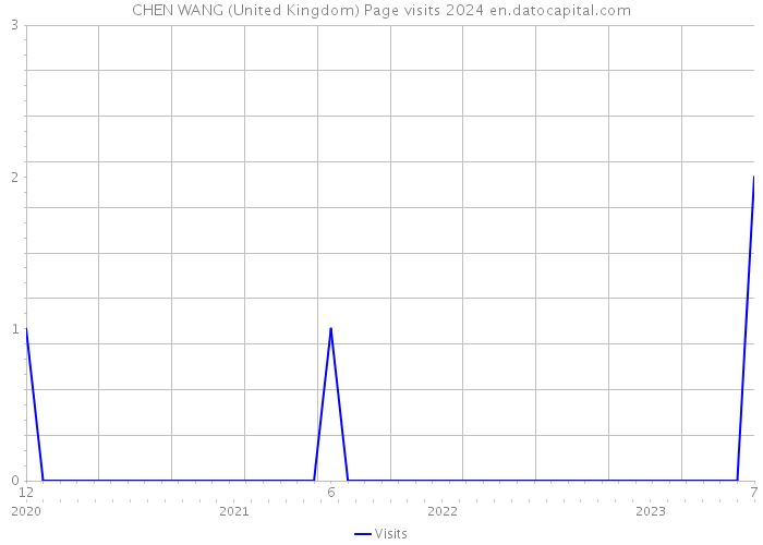 CHEN WANG (United Kingdom) Page visits 2024 