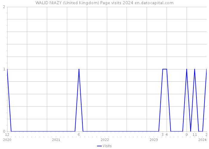 WALID NIAZY (United Kingdom) Page visits 2024 