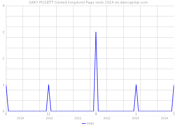 GARY PICKETT (United Kingdom) Page visits 2024 