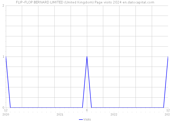 FLIP-FLOP BERNARD LIMITED (United Kingdom) Page visits 2024 