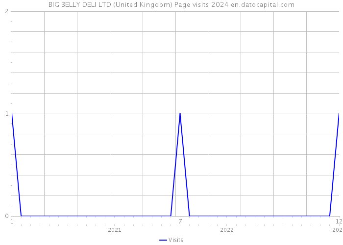 BIG BELLY DELI LTD (United Kingdom) Page visits 2024 