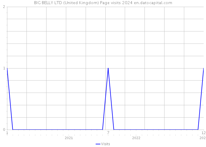 BIG BELLY LTD (United Kingdom) Page visits 2024 
