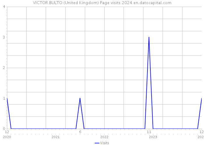 VICTOR BULTO (United Kingdom) Page visits 2024 
