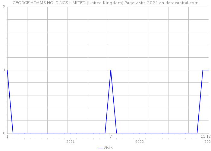 GEORGE ADAMS HOLDINGS LIMITED (United Kingdom) Page visits 2024 