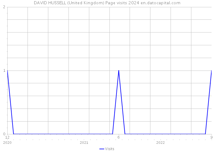 DAVID HUSSELL (United Kingdom) Page visits 2024 
