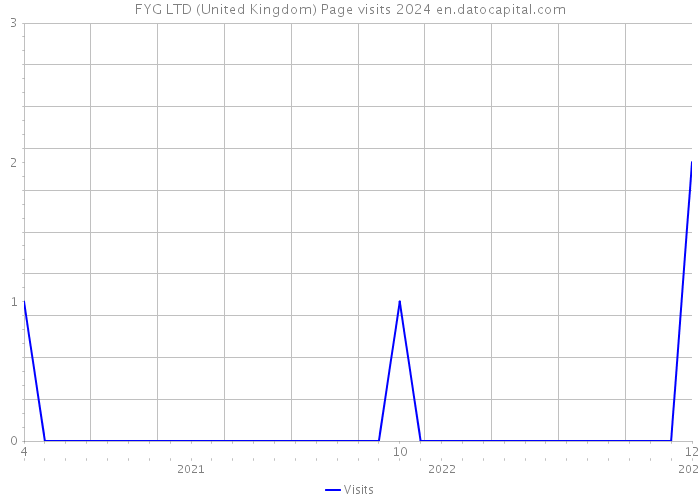 FYG LTD (United Kingdom) Page visits 2024 