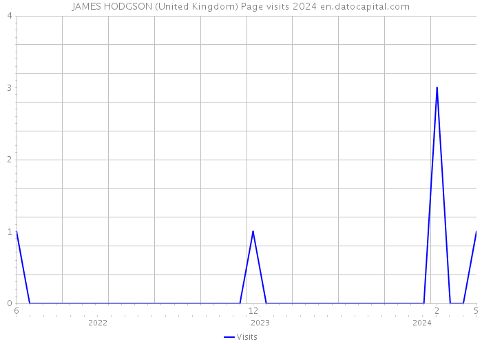 JAMES HODGSON (United Kingdom) Page visits 2024 