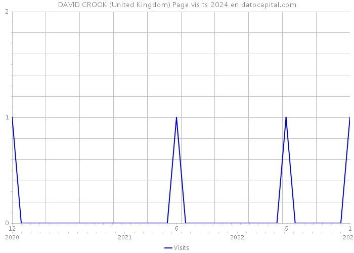 DAVID CROOK (United Kingdom) Page visits 2024 