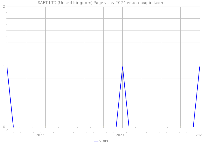 SAET LTD (United Kingdom) Page visits 2024 