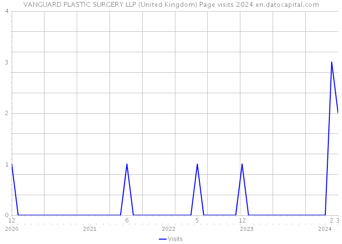 VANGUARD PLASTIC SURGERY LLP (United Kingdom) Page visits 2024 