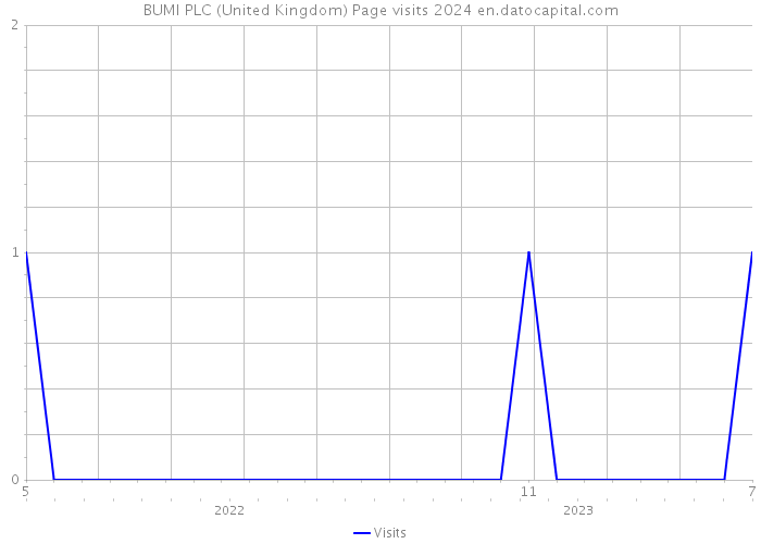 BUMI PLC (United Kingdom) Page visits 2024 