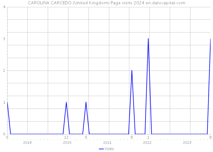 CAROLINA CARCEDO (United Kingdom) Page visits 2024 