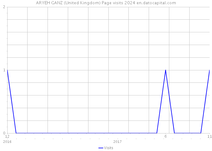 ARYEH GANZ (United Kingdom) Page visits 2024 