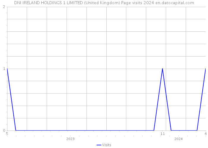 DNI IRELAND HOLDINGS 1 LIMITED (United Kingdom) Page visits 2024 