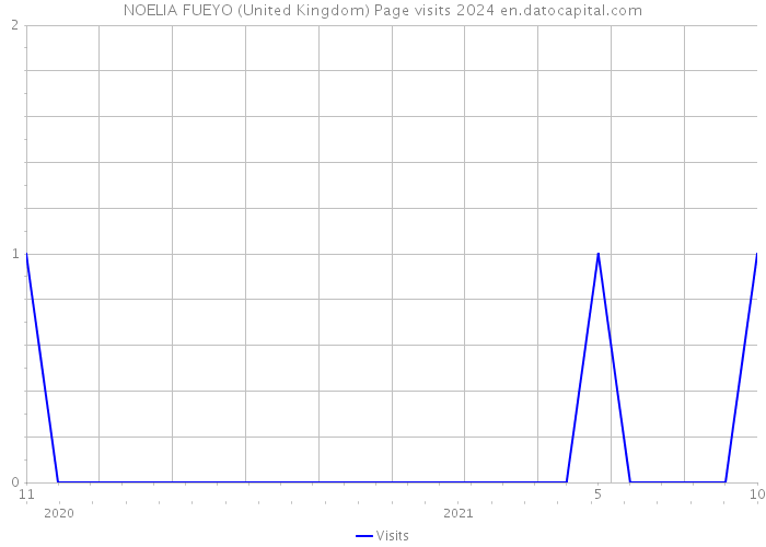 NOELIA FUEYO (United Kingdom) Page visits 2024 
