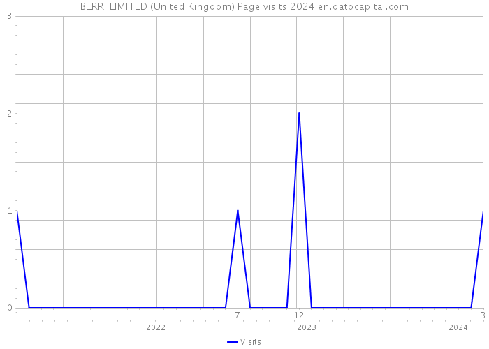 BERRI LIMITED (United Kingdom) Page visits 2024 