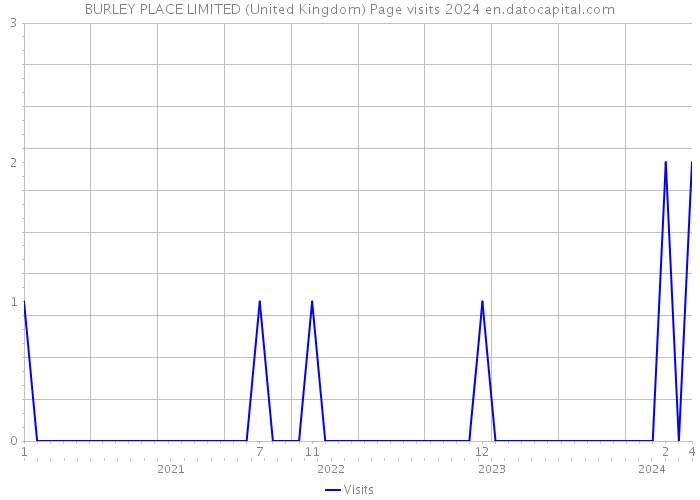BURLEY PLACE LIMITED (United Kingdom) Page visits 2024 