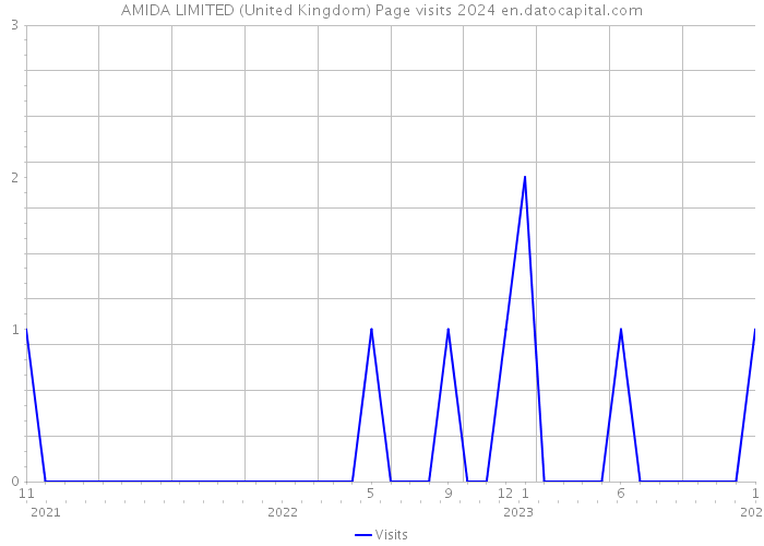 AMIDA LIMITED (United Kingdom) Page visits 2024 
