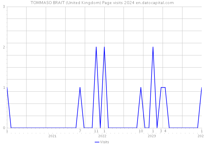 TOMMASO BRAIT (United Kingdom) Page visits 2024 
