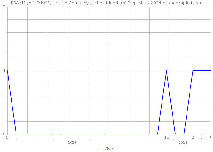 PRAXIS (HOLDINGS) Limited Company (United Kingdom) Page visits 2024 
