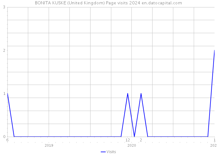 BONITA KUSKE (United Kingdom) Page visits 2024 