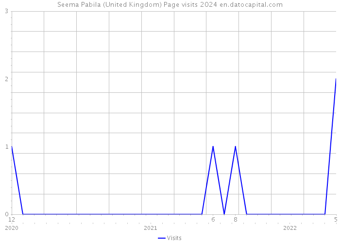 Seema Pabila (United Kingdom) Page visits 2024 
