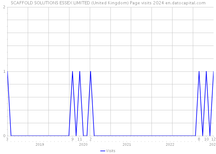 SCAFFOLD SOLUTIONS ESSEX LIMITED (United Kingdom) Page visits 2024 