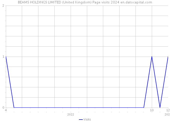 BEAMS HOLDINGS LIMITED (United Kingdom) Page visits 2024 