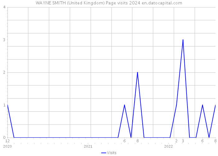 WAYNE SMITH (United Kingdom) Page visits 2024 