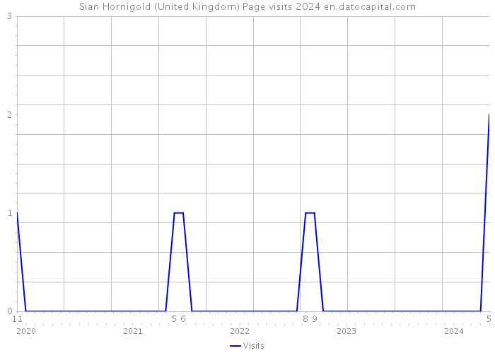 Sian Hornigold (United Kingdom) Page visits 2024 