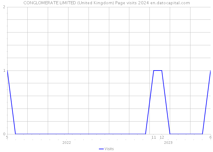 CONGLOMERATE LIMITED (United Kingdom) Page visits 2024 