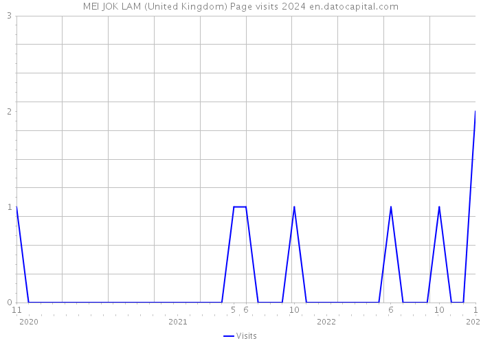 MEI JOK LAM (United Kingdom) Page visits 2024 