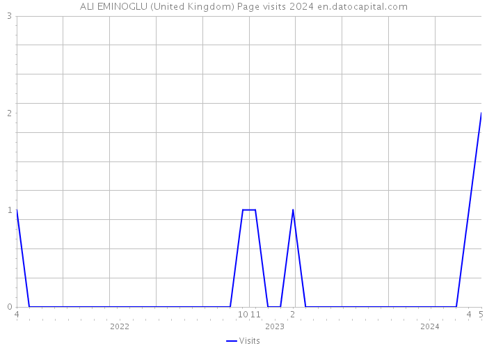 ALI EMINOGLU (United Kingdom) Page visits 2024 