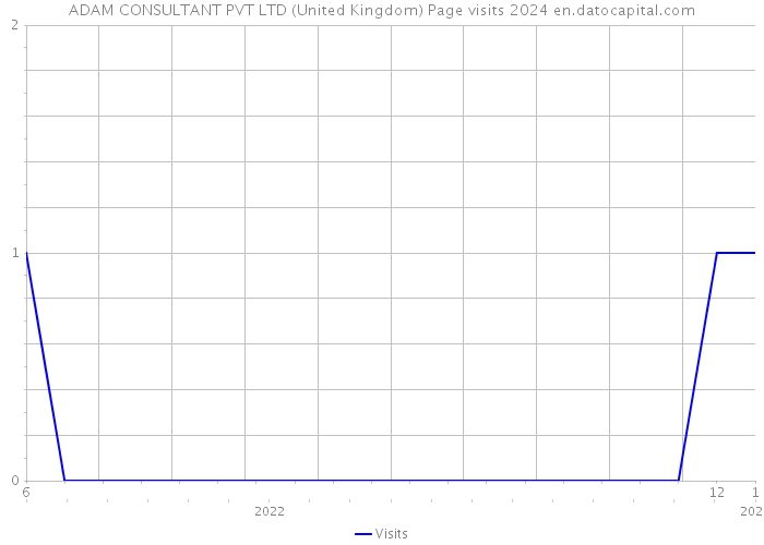 ADAM CONSULTANT PVT LTD (United Kingdom) Page visits 2024 