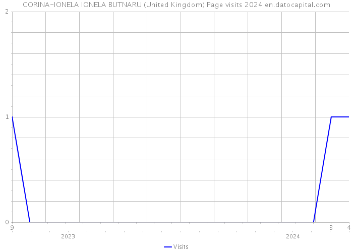CORINA-IONELA IONELA BUTNARU (United Kingdom) Page visits 2024 
