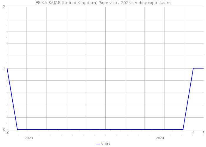 ERIKA BAJAR (United Kingdom) Page visits 2024 