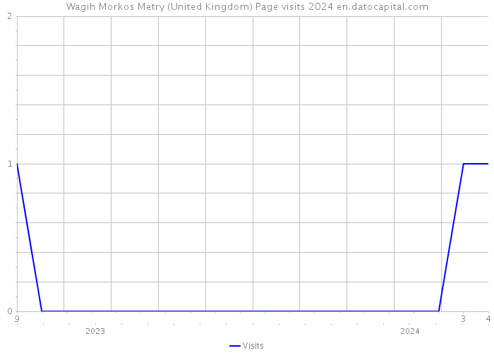 Wagih Morkos Metry (United Kingdom) Page visits 2024 
