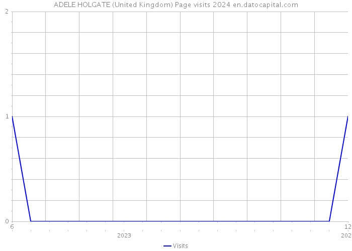 ADELE HOLGATE (United Kingdom) Page visits 2024 
