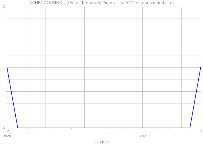 AGNES COUSINOU (United Kingdom) Page visits 2024 